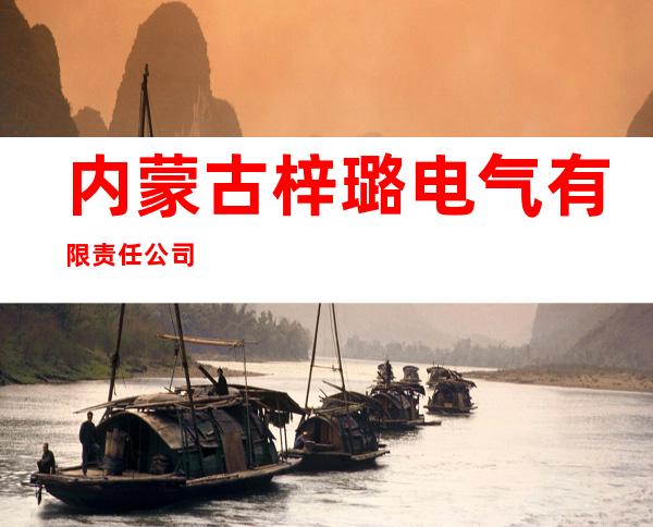 内蒙古梓璐电气有限责任公司